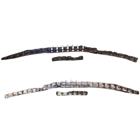 Genuine Australian Crocodile Leather Hat Band with 7 Crocodile Teeth - Picture 6 of 7